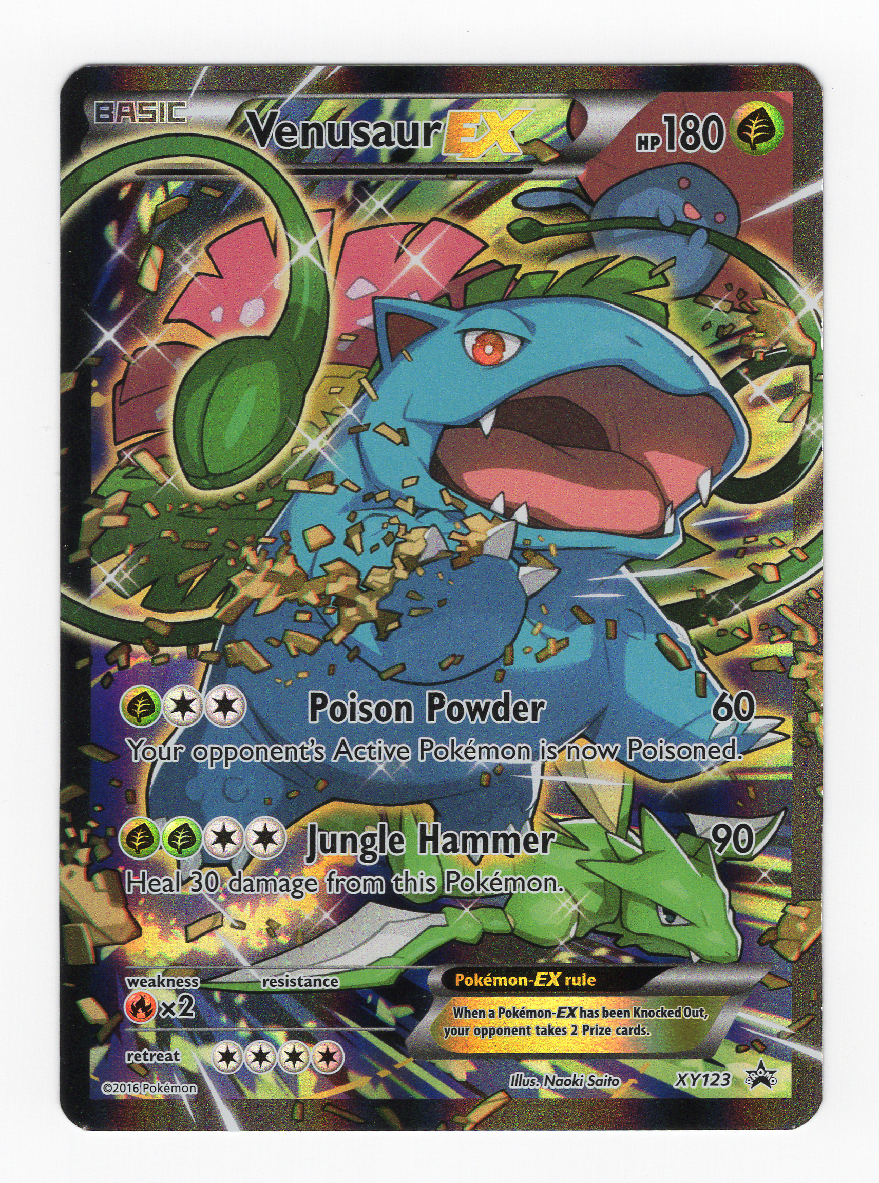 Venusaur EX #XY123 Pokemon Promo Holo - Lightly Played